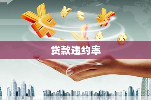 万载贷款违约率