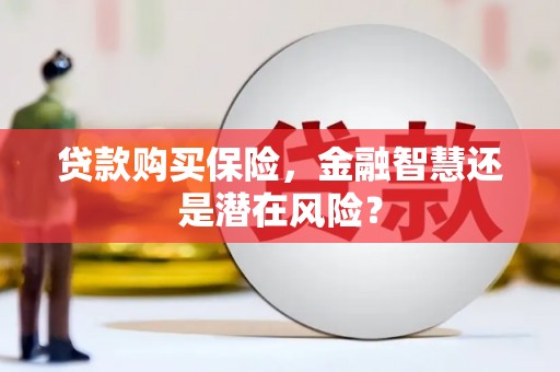 万载贷款购买保险，金融智慧还是潜在风险？