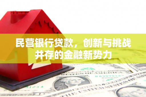 万载民营银行贷款，创新与挑战并存的金融新势力