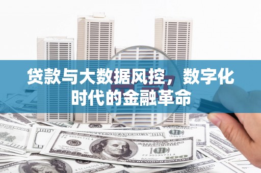万载贷款与大数据风控，数字化时代的金融革命