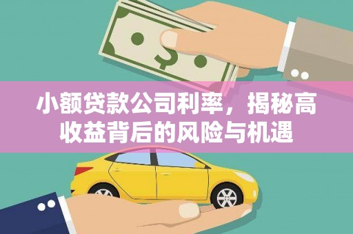 万载小额贷款公司利率，揭秘高收益背后的风险与机遇