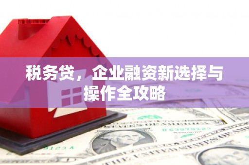 万载税务贷，企业融资新选择与操作全攻略
