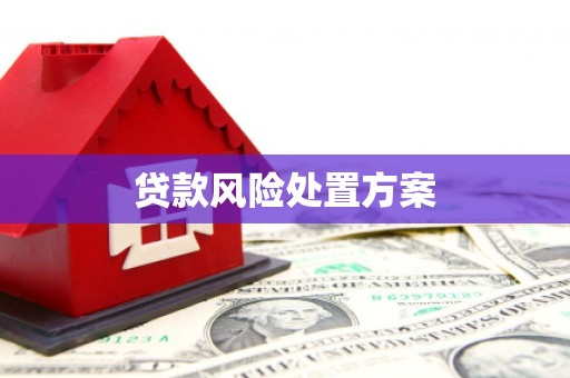 万载贷款风险处置方案