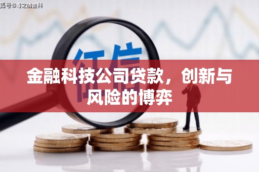 万载金融科技公司贷款，创新与风险的博弈