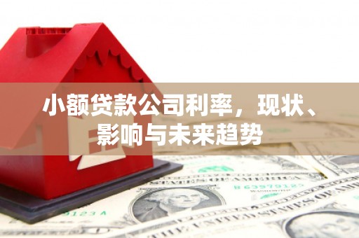 万载小额贷款公司利率，现状、影响与未来趋势