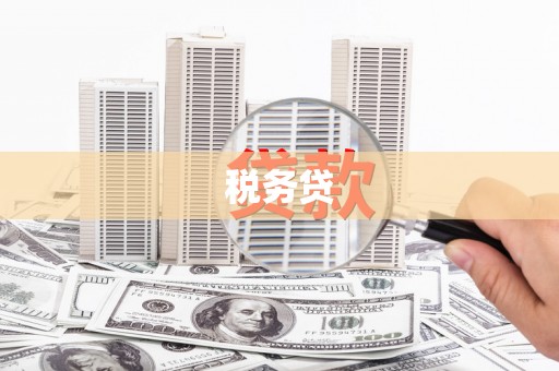 万载税务贷