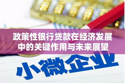 万载政策性银行贷款在经济发展中的关键作用与未来展望