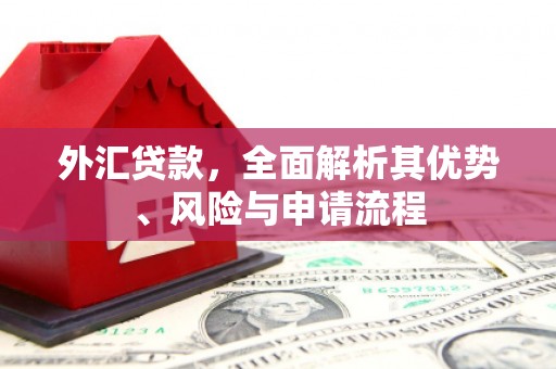 万载外汇贷款，全面解析其优势、风险与申请流程