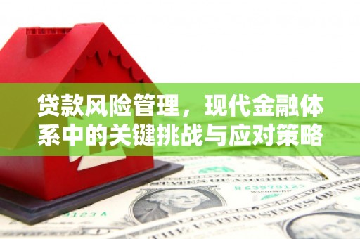 万载贷款风险管理，现代金融体系中的关键挑战与应对策略