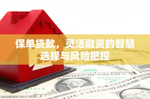 万载保单贷款，灵活融资的智慧选择与风险把控