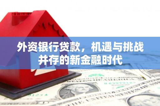 万载外资银行贷款，机遇与挑战并存的新金融时代