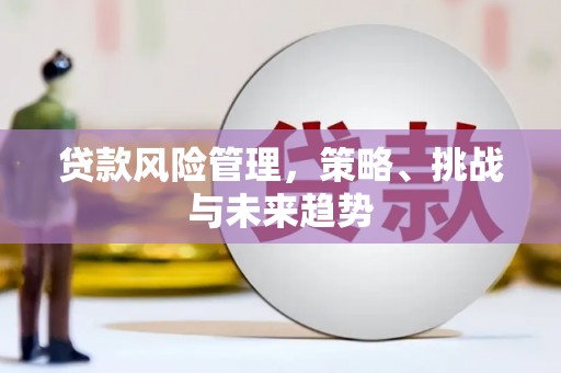 万载贷款风险管理，策略、挑战与未来趋势