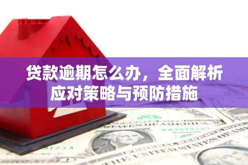 万载贷款逾期怎么办，全面解析应对策略与预防措施