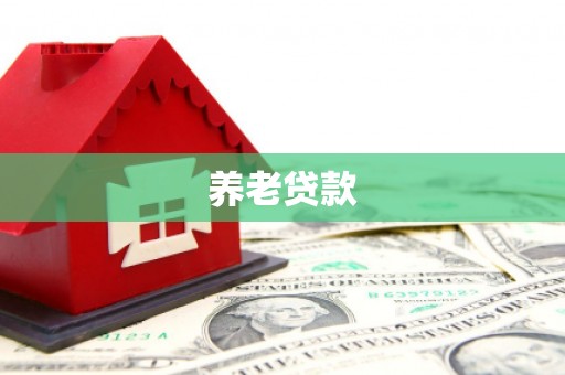 万载养老贷款