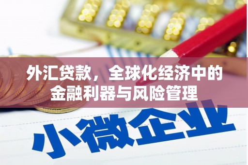 万载外汇贷款，全球化经济中的金融利器与风险管理