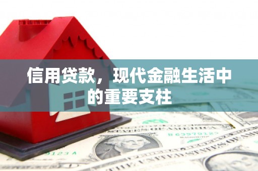 万载信用贷款，现代金融生活中的重要支柱