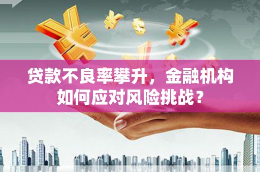 万载贷款不良率攀升，金融机构如何应对风险挑战？