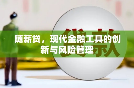 万载随薪贷，现代金融工具的创新与风险管理
