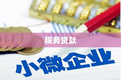 万载税务贷款