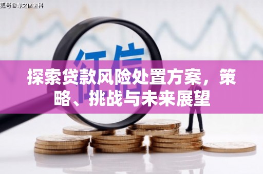万载探索贷款风险处置方案，策略、挑战与未来展望