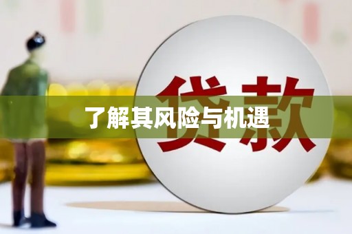 万载了解其风险与机遇