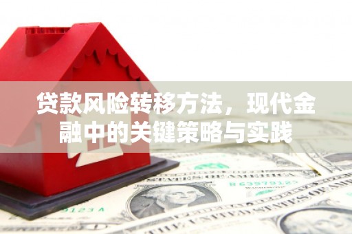万载贷款风险转移方法，现代金融中的关键策略与实践