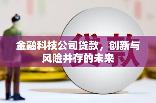 万载金融科技公司贷款，创新与风险并存的未来