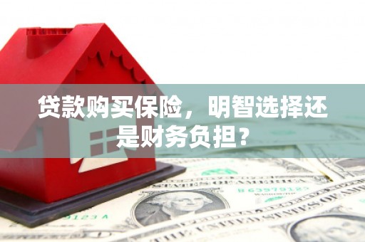 万载贷款购买保险，明智选择还是财务负担？