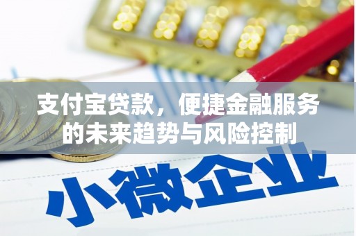 万载支付宝贷款，便捷金融服务的未来趋势与风险控制