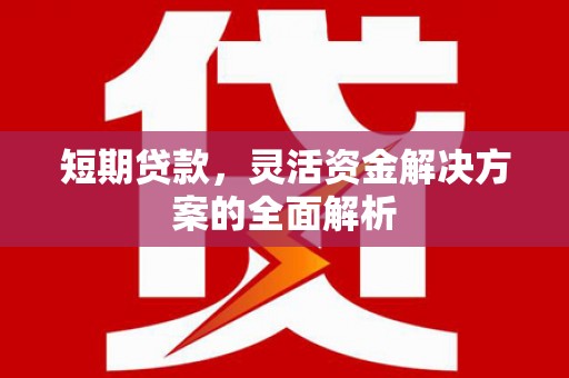 万载短期贷款，灵活资金解决方案的全面解析