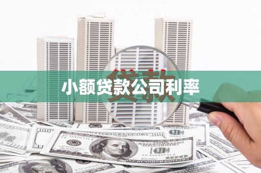 万载小额贷款公司利率