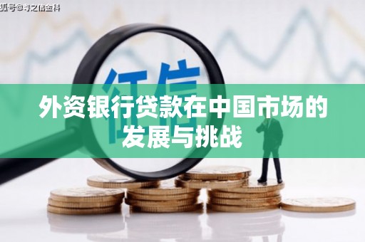 万载外资银行贷款在中国市场的发展与挑战