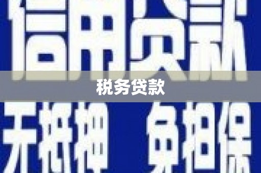 万载税务贷款