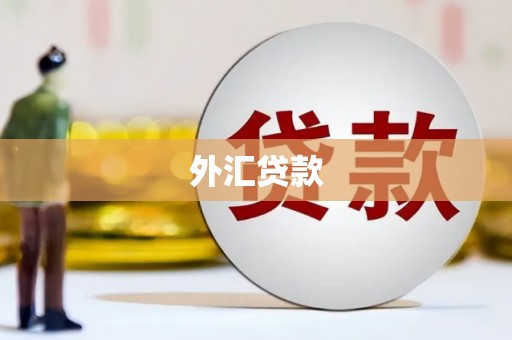 万载外汇贷款
