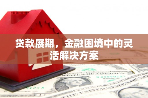 万载贷款展期，金融困境中的灵活解决方案