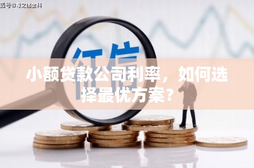 万载小额贷款公司利率，如何选择最优方案？