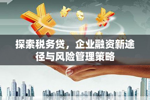 万载探索税务贷，企业融资新途径与风险管理策略