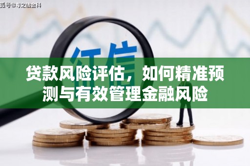 万载贷款风险评估，如何精准预测与有效管理金融风险