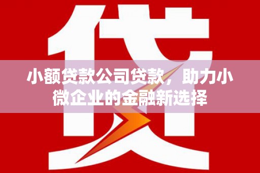 万载小额贷款公司贷款，助力小微企业的金融新选择