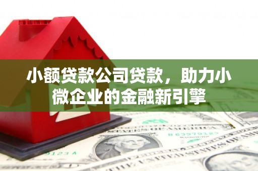 万载小额贷款公司贷款，助力小微企业的金融新引擎