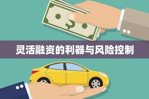 万载灵活融资的利器与风险控制