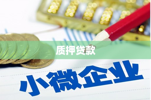 万载质押贷款