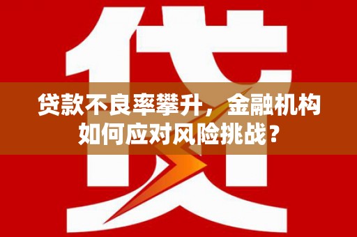 万载贷款不良率攀升，金融机构如何应对风险挑战？