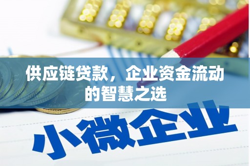 万载供应链贷款，企业资金流动的智慧之选