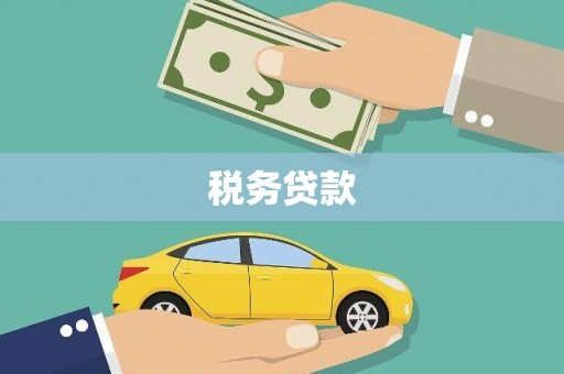 万载税务贷款