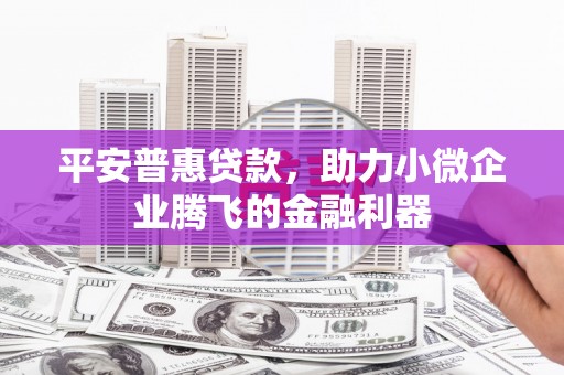 万载平安普惠贷款，助力小微企业腾飞的金融利器