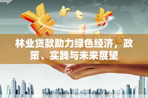 万载林业贷款助力绿色经济，政策、实践与未来展望