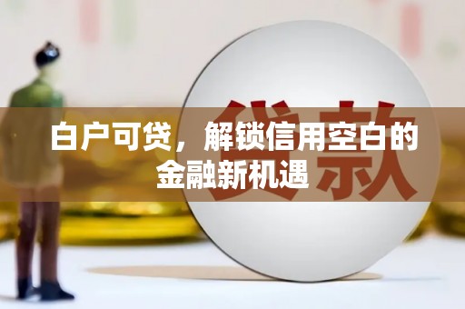 万载白户可贷，解锁信用空白的金融新机遇