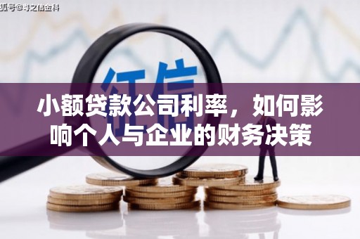 万载小额贷款公司利率，如何影响个人与企业的财务决策
