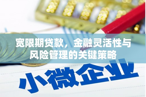 万载宽限期贷款，金融灵活性与风险管理的关键策略